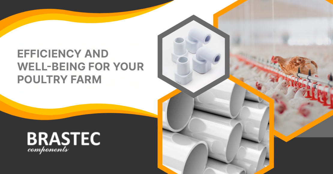 Brastec Feed Lines: Efficiency and Welfare for Your Poultry House