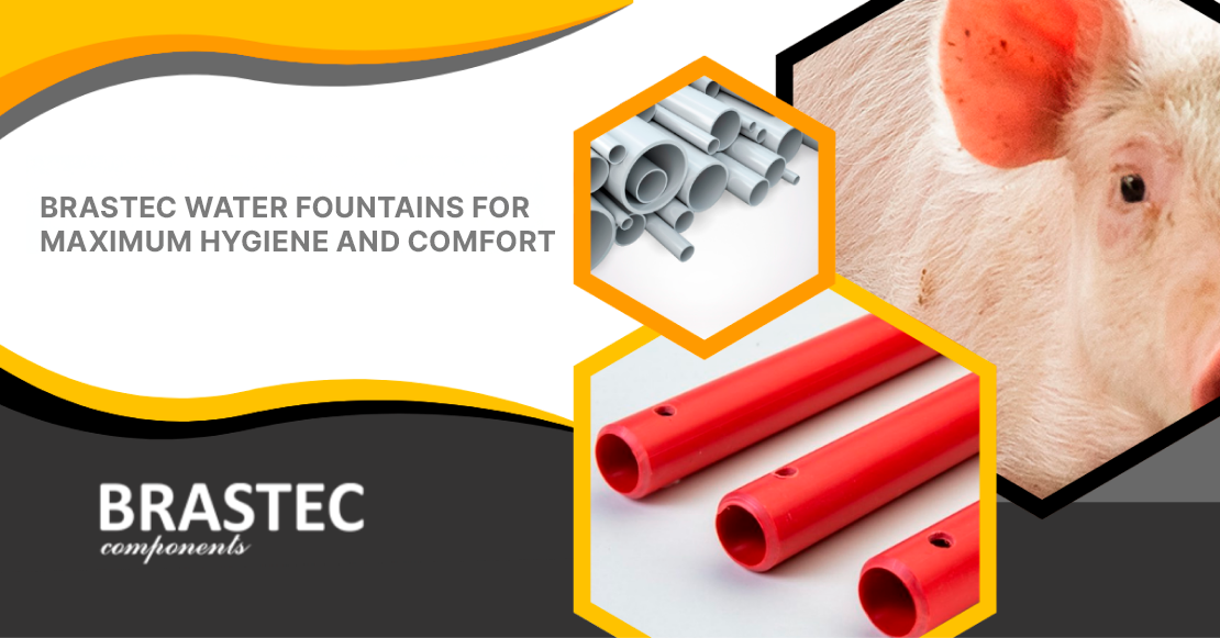 Animal Welfare in Focus: Brastec Waterers for Maximum Hygiene and Comfort